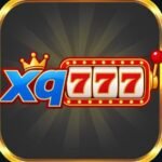 xq777-game