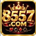 8557-game