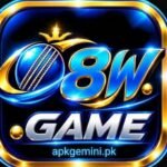 8W-Game