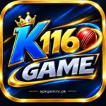 k116-Game